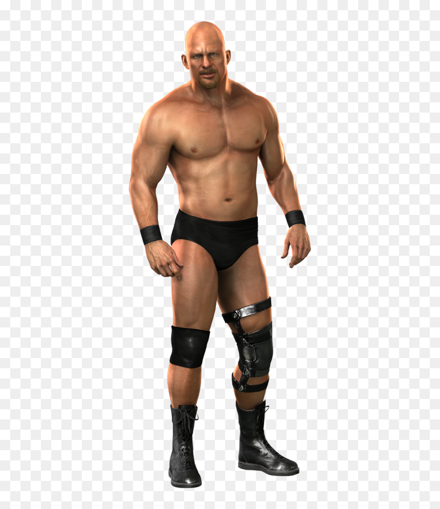 Stone Cold Steve Austin 2011, HD Png Download - stone cold stunner png