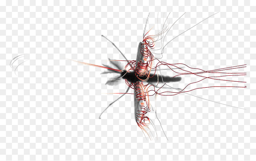 Mosquito Png Image Background - Mosquito Wings, Transparent Png - cross graphic png