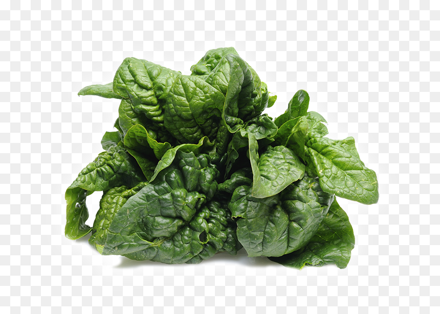Revolutionary Folate - Foods That Don T Have Protein, HD Png Download - spinach leaf png