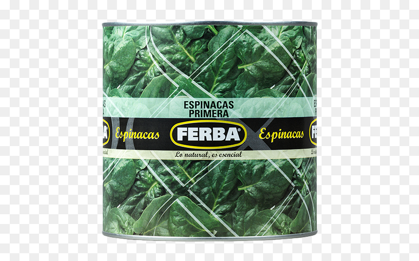 Spinach 2500g - Mexican Pinyon, HD Png Download - spinach leaf png