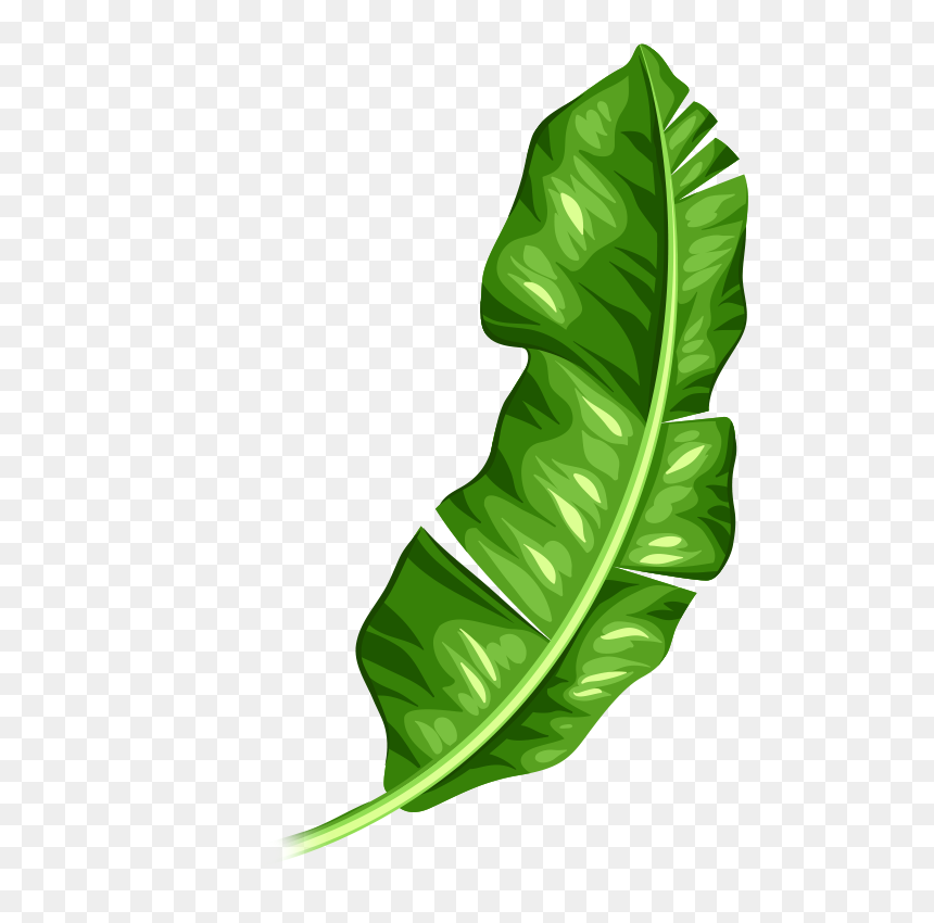 Clip Art, HD Png Download - spinach leaf png