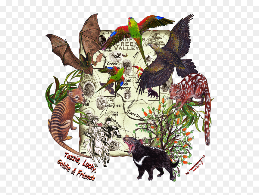 Illustration, HD Png Download - tasmanian devil png