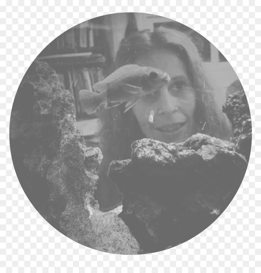Profile Melissa 2 - Monochrome, HD Png Download - spider tattoo png
