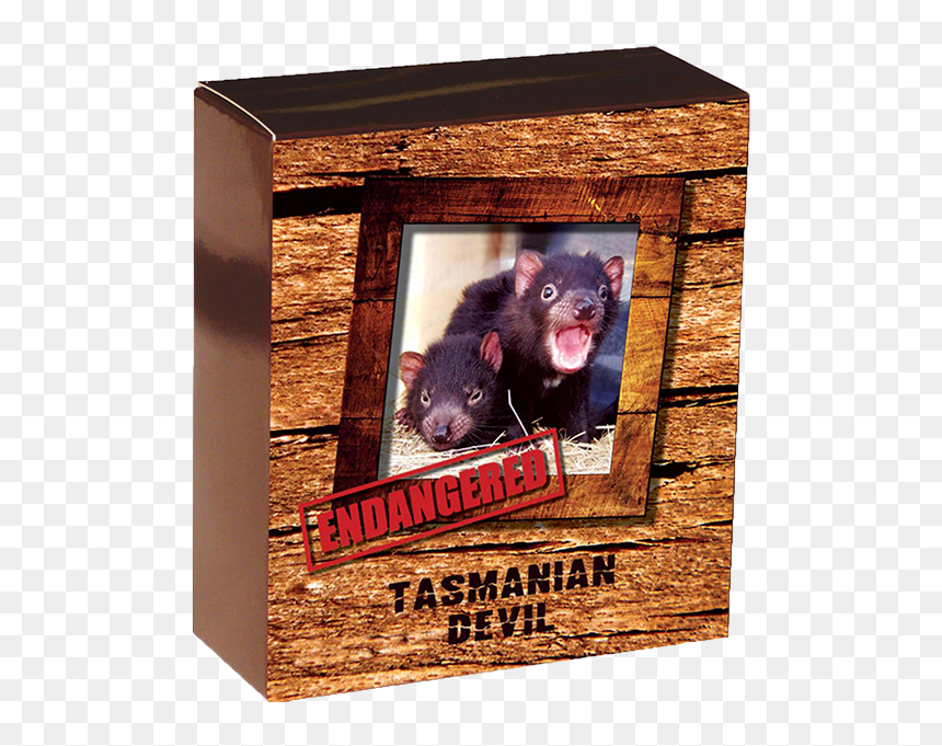 "
						title=" - Tasmanian Devil, HD Png Download - tasmanian devil png