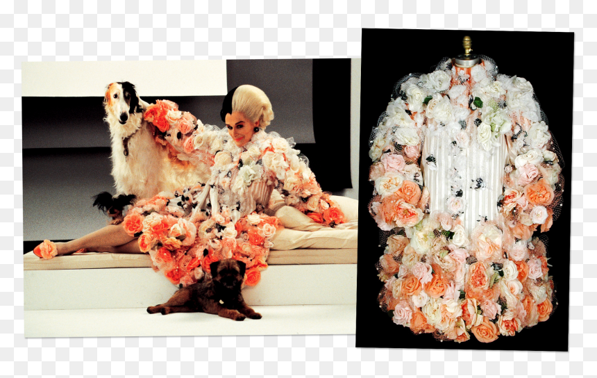 Ombred Silk Organza Decorated With Tulle And Silk Roses - Cruella De Vil Glenn Close Costume, HD Png Download - cruella deville png