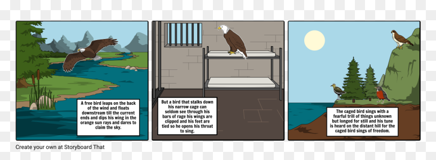 Storyboard, HD Png Download - cockatiel png