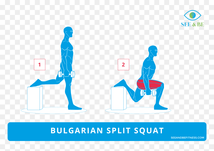 Push Up Rows Muscles, HD Png Download - static electricity png