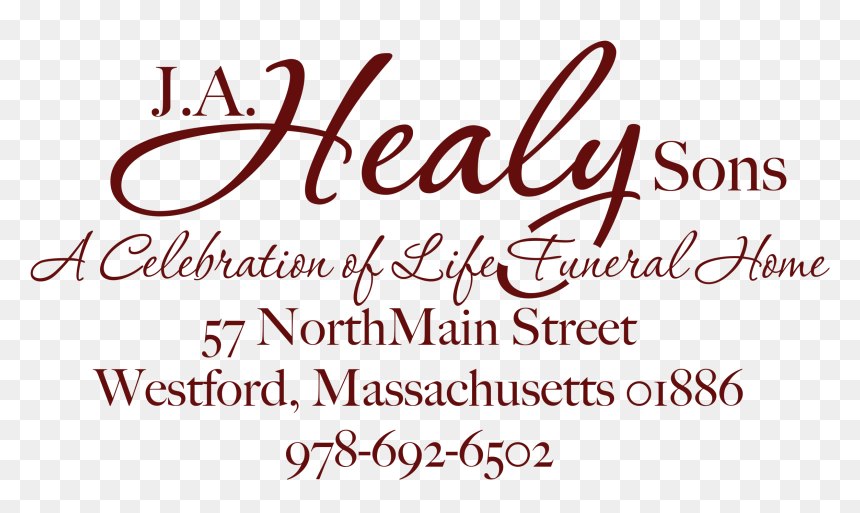 The Talk Of A Lifetime - Calligraphy, HD Png Download - gratitude png