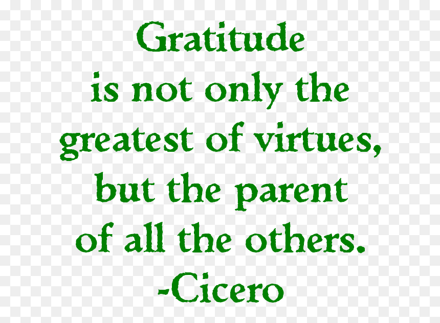 Colorfulness, HD Png Download - gratitude png