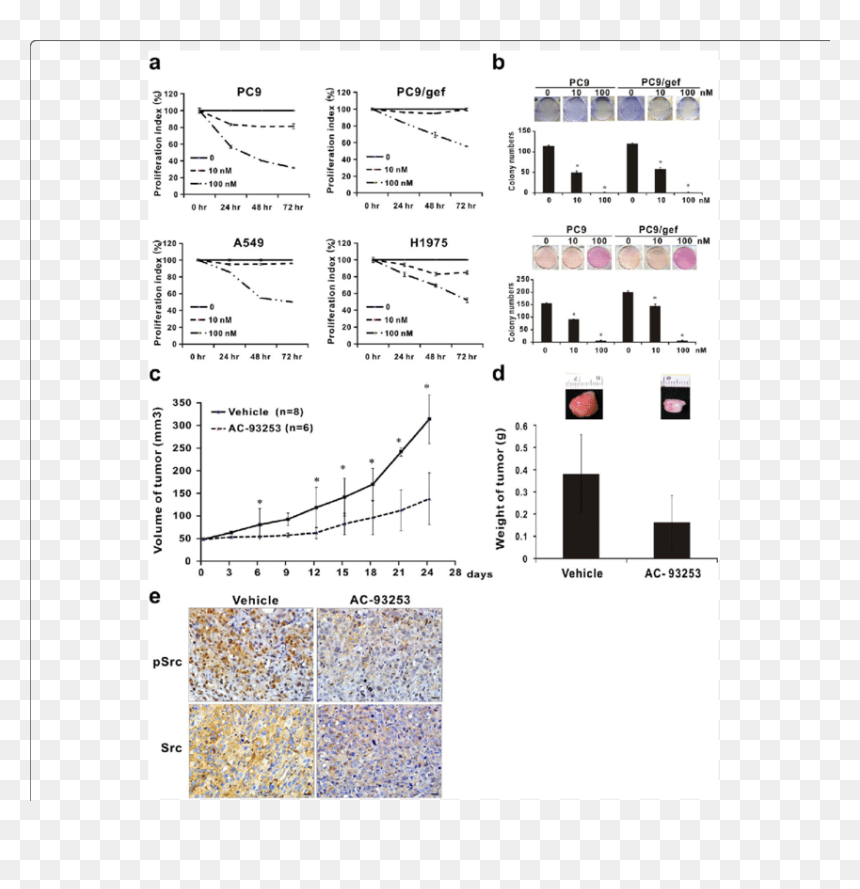 Suppressive Effects Of Ac 93253 Iodide On Tumor Cell - Illustration, HD Png Download - tumor png