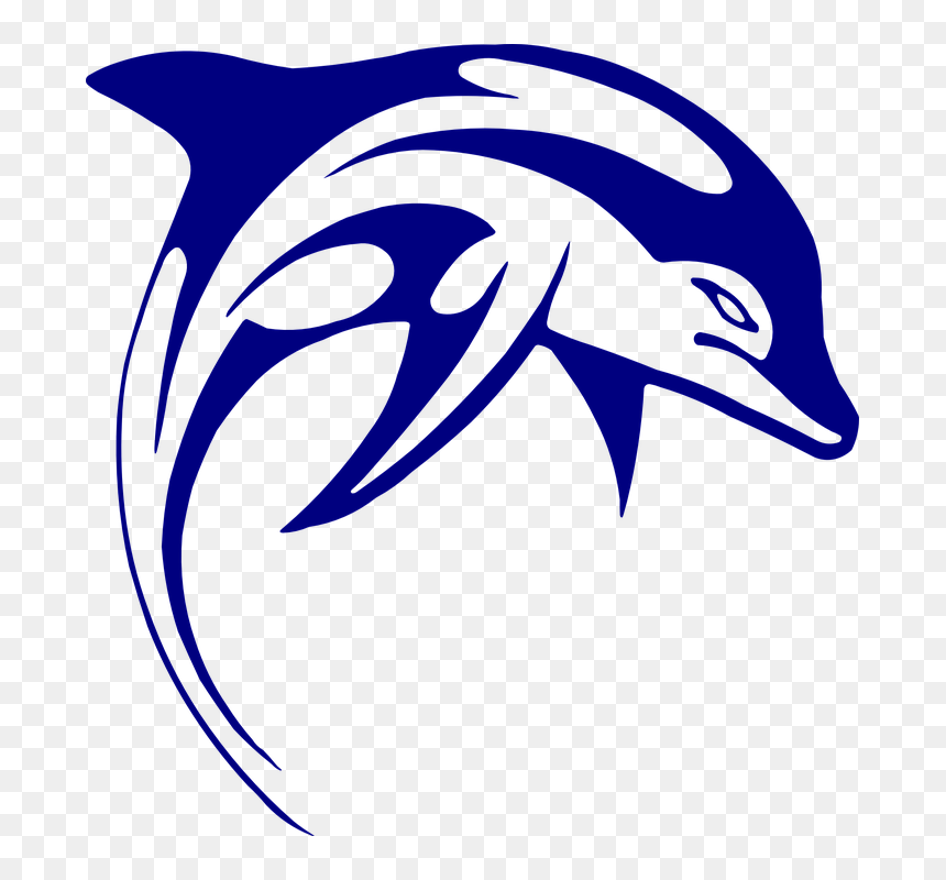 Battery Creek High School Logo, HD Png Download - dolphins logo png