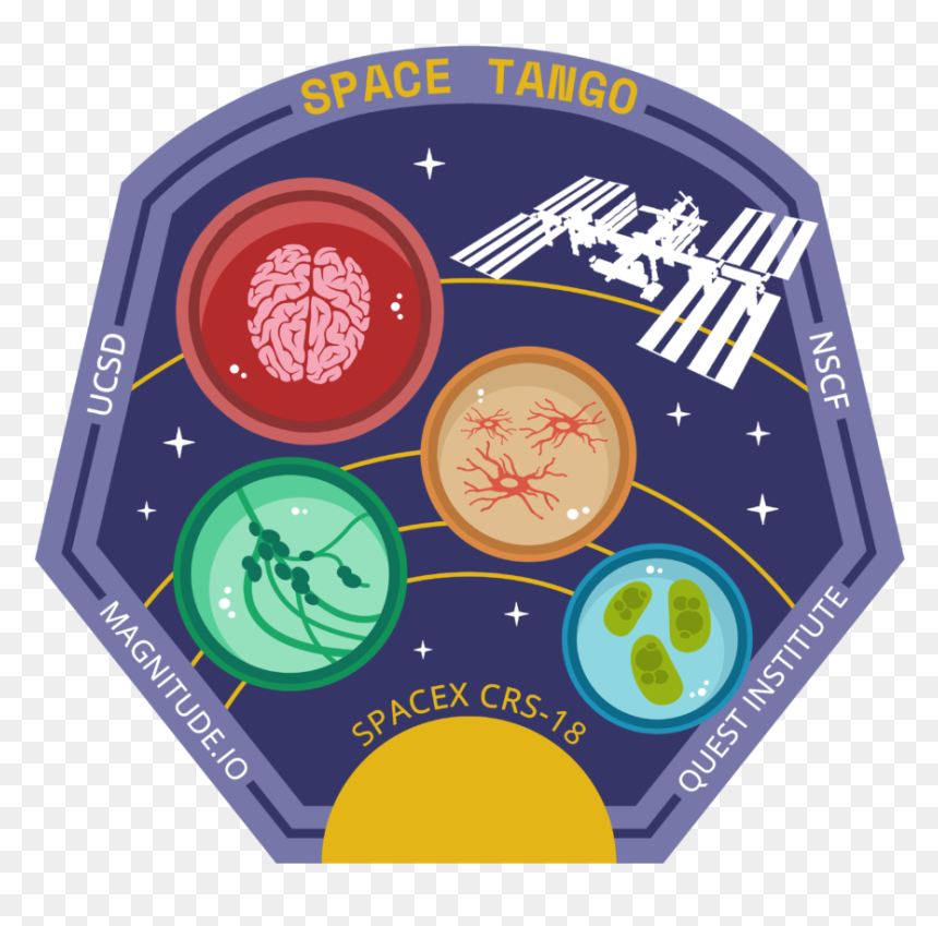 Circle, HD Png Download - spacex logo png