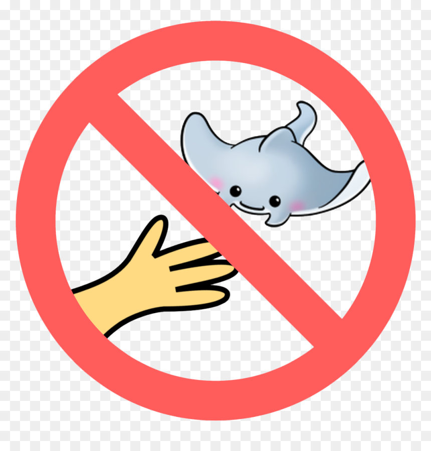 No Touching Or Chasing Marine Life - California National Party, HD Png Download - chasing png