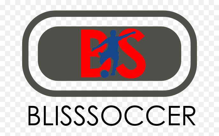 Bliss Soccer - Bird, HD Png Download - atletico madrid png