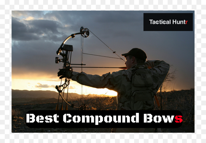 Compound Bow Reviews - Archery Hunt, HD Png Download - hunting arrow png