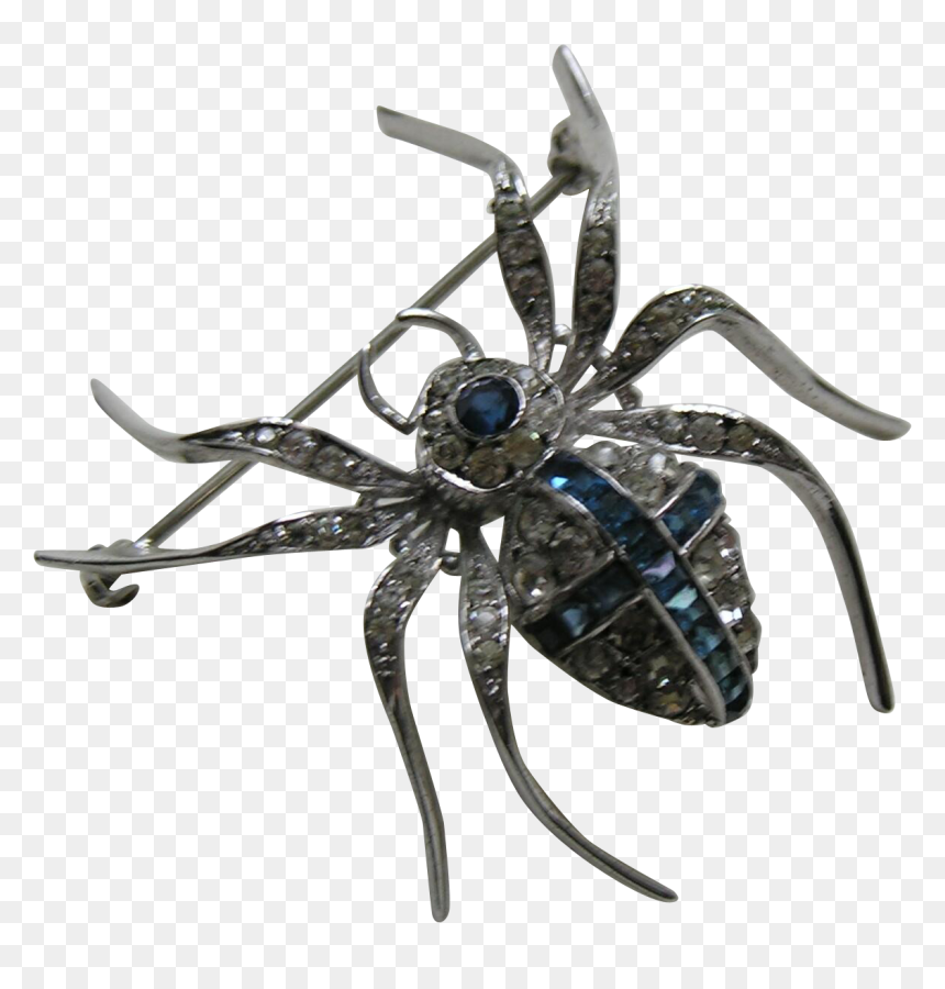 Araneus, HD Png Download - wolf spider png