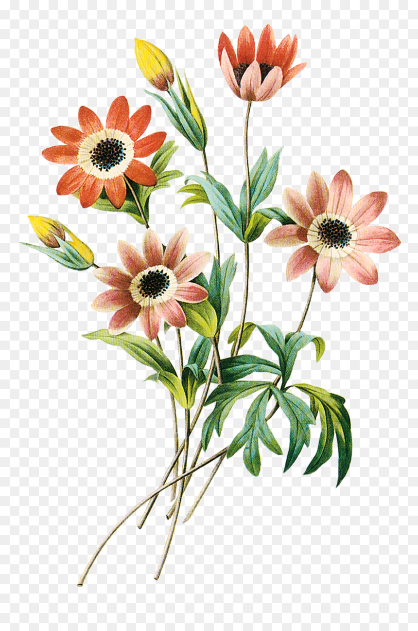 Clipart Grátis Flores - Flores Em Png Gratis, Transparent Png - flores en png