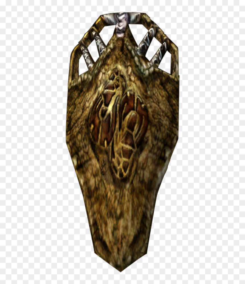 Elder Scrolls - Insect, HD Png Download - shield and banner png