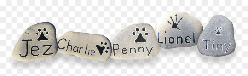 Silver, HD Png Download - pet rock png