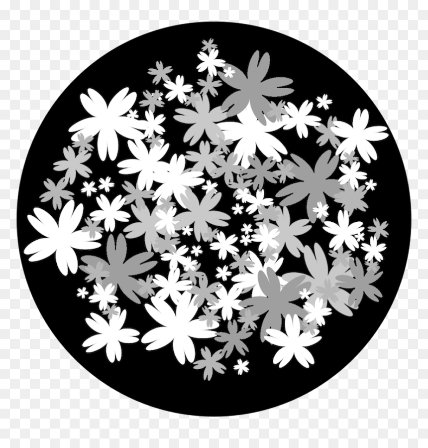 Apollo Design 6133 Bed Of Flowers B&w Superresolution - African Daisy, HD Png Download - window texture png