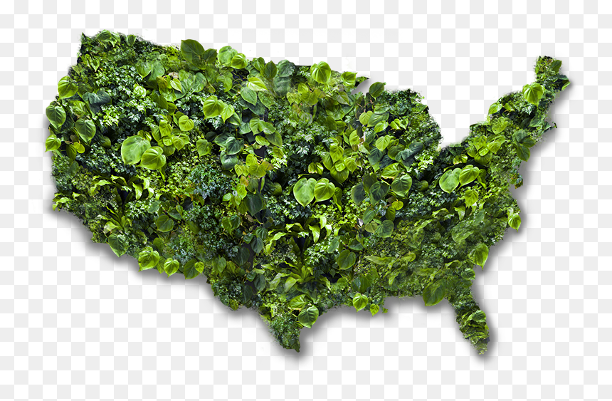 Market Revolution Us Map, HD Png Download - sea plant png