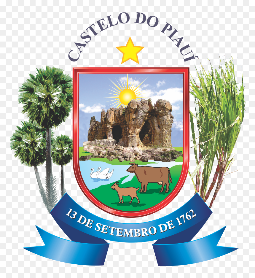 Brasao De Castelo Do Piaui - Brasão De Castelo Do Piaui, HD Png Download - sea plant png