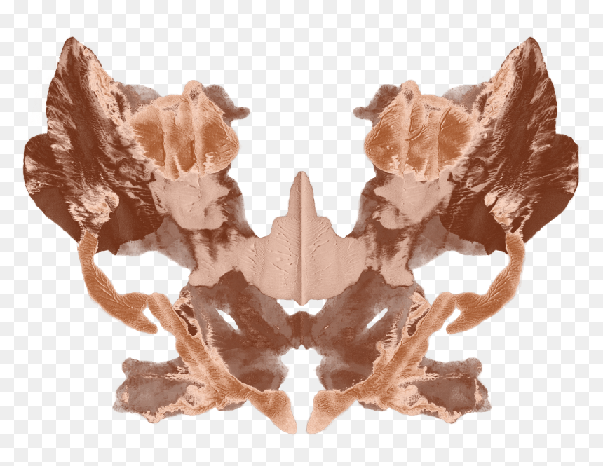 Blue Crab Blot Copper - Freshwater Crab, HD Png Download - crab.png