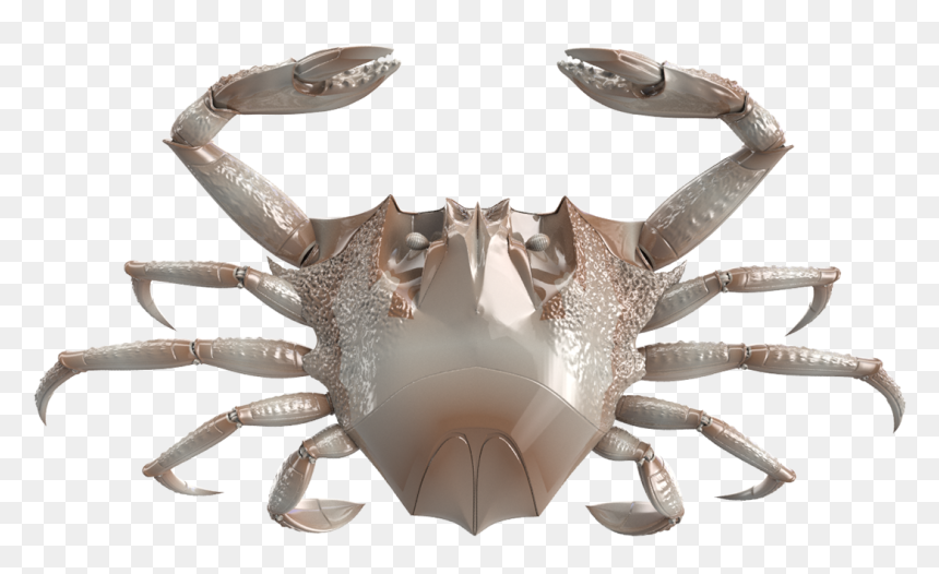 Robotic Crab, HD Png Download - crab.png