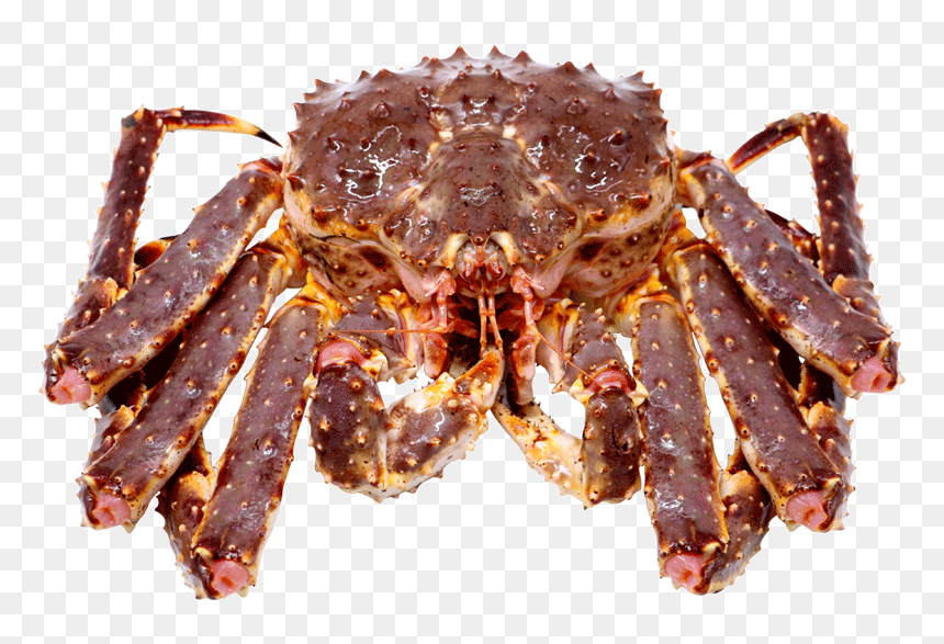 Auspicious Fresh Seafood Fresh Crab Fresh Crab King - 阿拉斯加 蟹, HD Png Download - crab.png