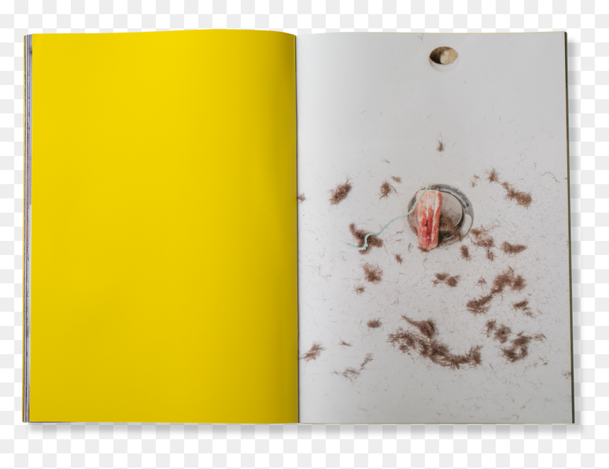 Rat, HD Png Download - footprints in the sand png