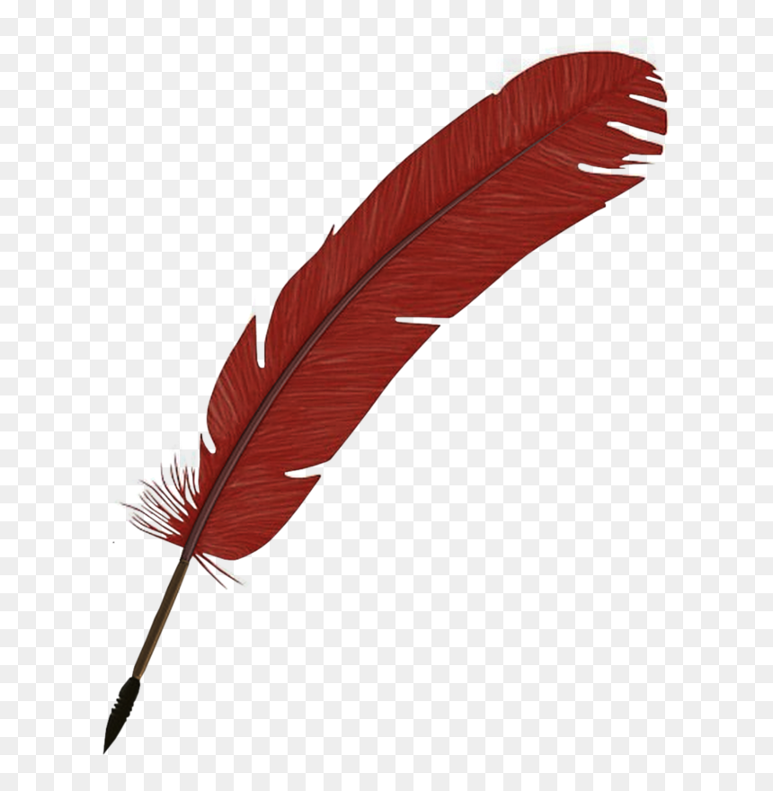 Hand-painted Feathers Png Download - Illustration, Transparent Png - red feather png