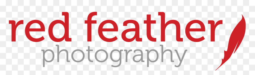 Red Feather Photography - Graphics, HD Png Download - red feather png
