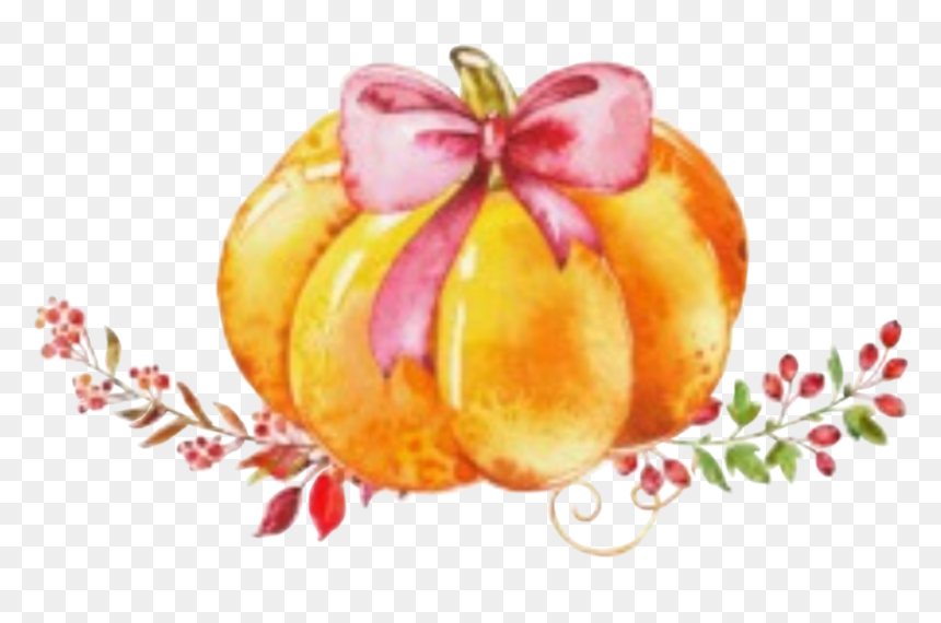 #watercolor #pumpkin #bow #halloween #thanksgiving - Little Pumpkin Boy Baby Shower, HD Png Download - watercolor pumpkin png