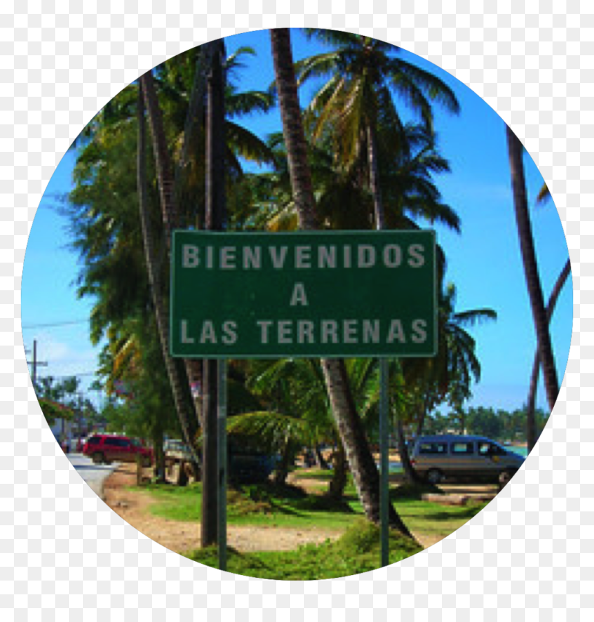 Street Sign, HD Png Download - street sign pole png