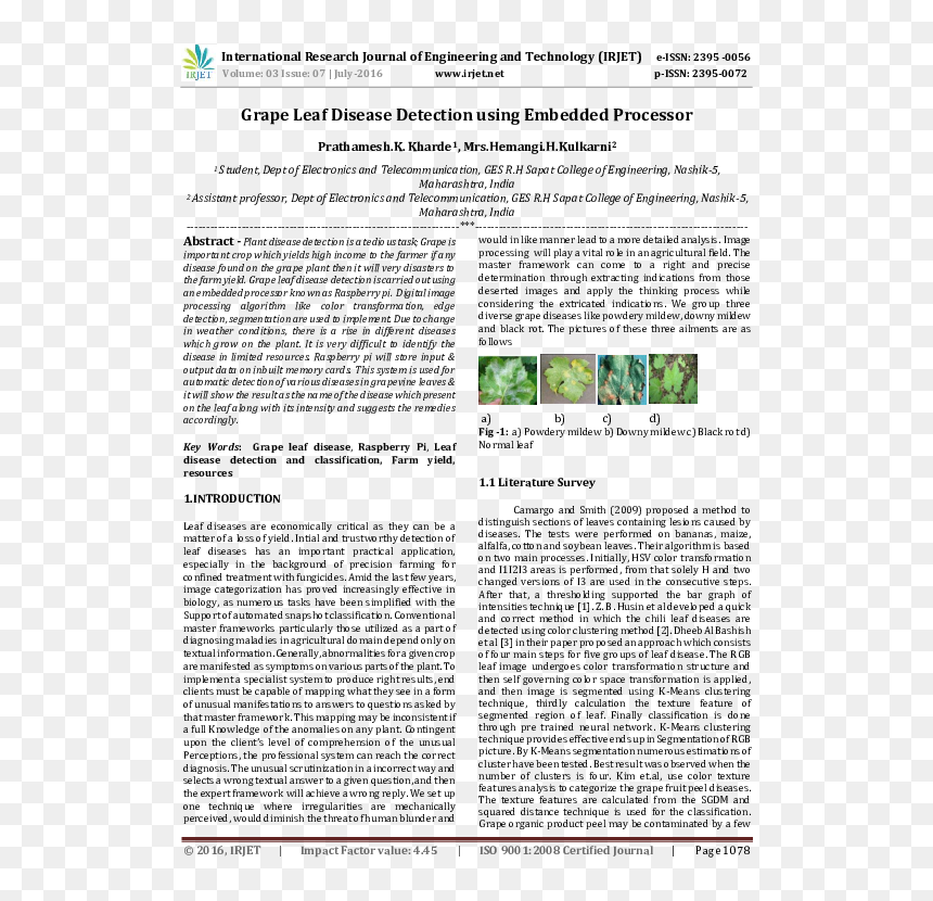 Research, HD Png Download - grape leaf png