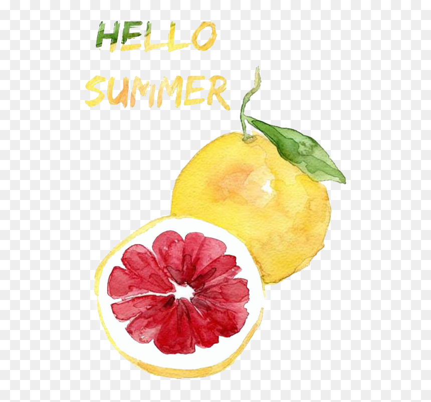 Minimalist Watercolor, HD Png Download - hello summer png