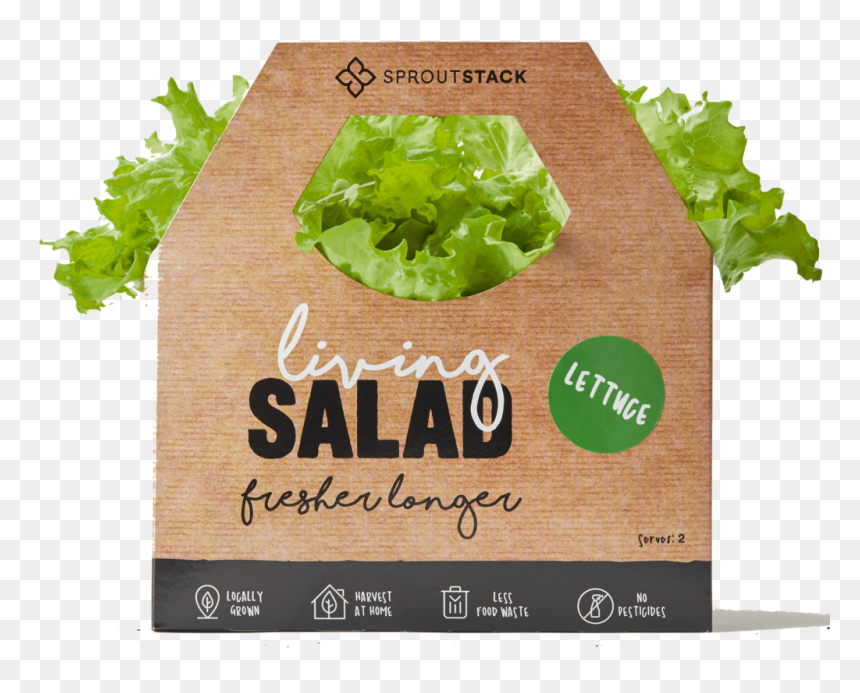 Bancha, HD Png Download - lettuce leaf png