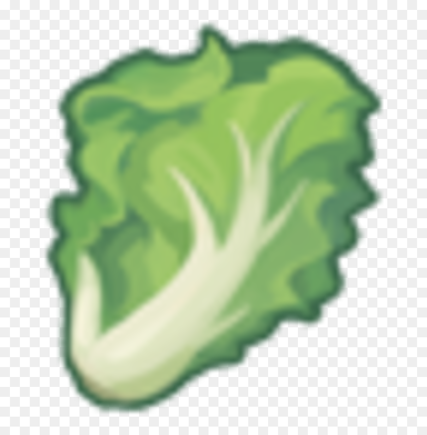 Illustration, HD Png Download - lettuce leaf png
