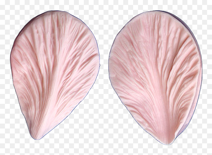 Earrings, HD Png Download - lettuce leaf png