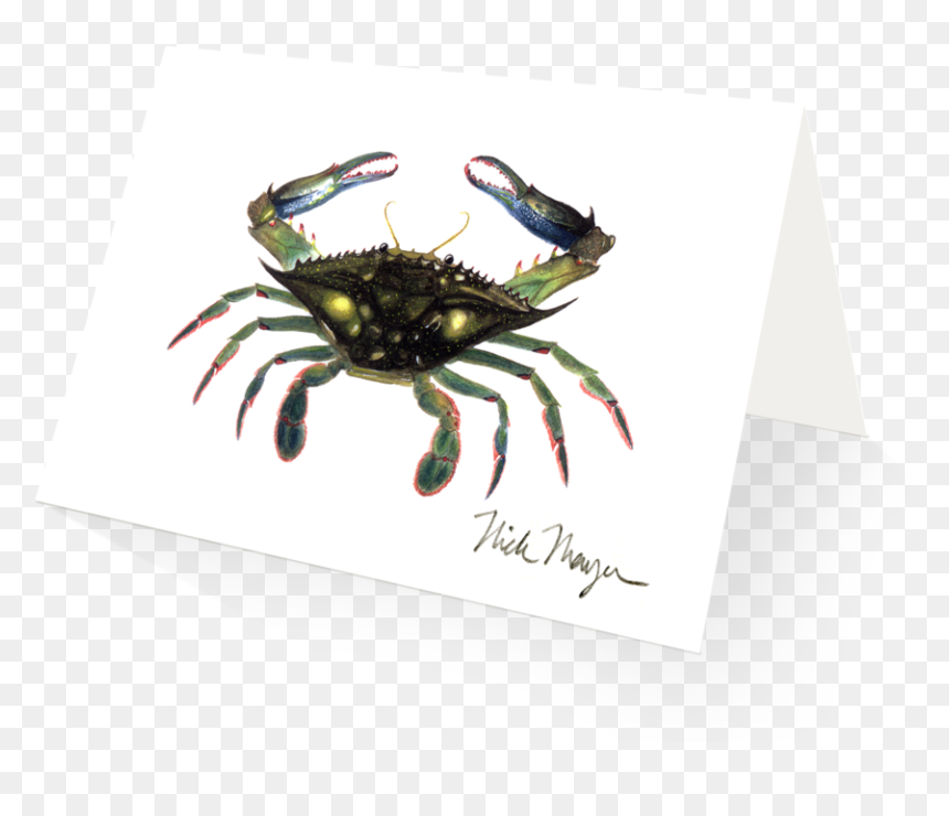 Blue Crab, Claws In, HD Png Download - crab claw png