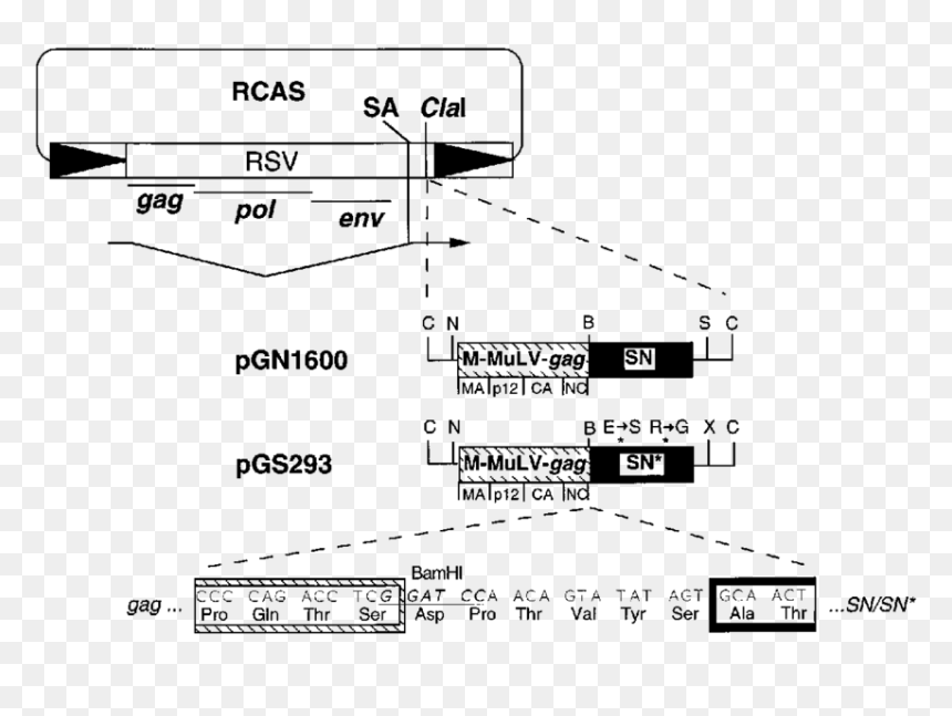 Diagram, HD Png Download - cod hit marker png