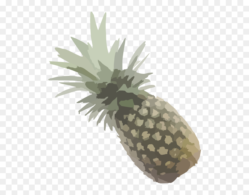 Pineapple Outline Png, Transparent Png - pineapple outline png