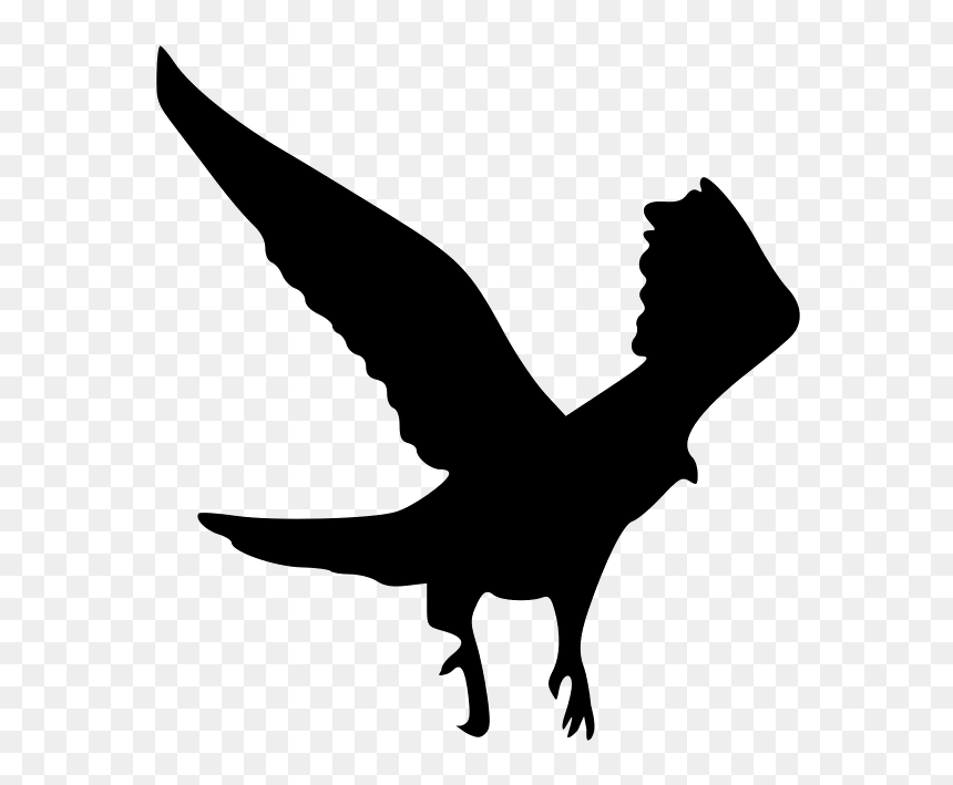 The Outline Of The Eagle - Silhouette Of Flutter Of Birds Wings, HD Png Download - eagle outline png