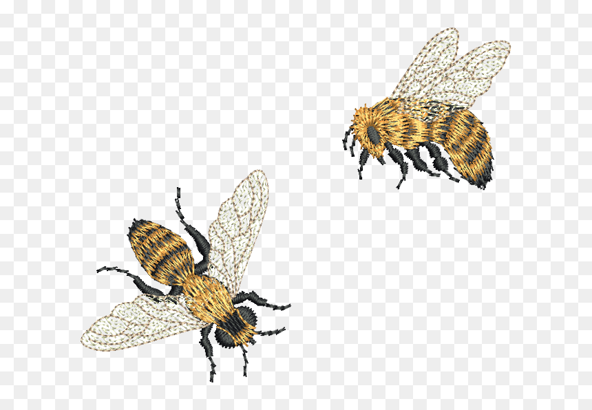 Machine Embroidery Mini Bee, HD Png Download - bee outline png