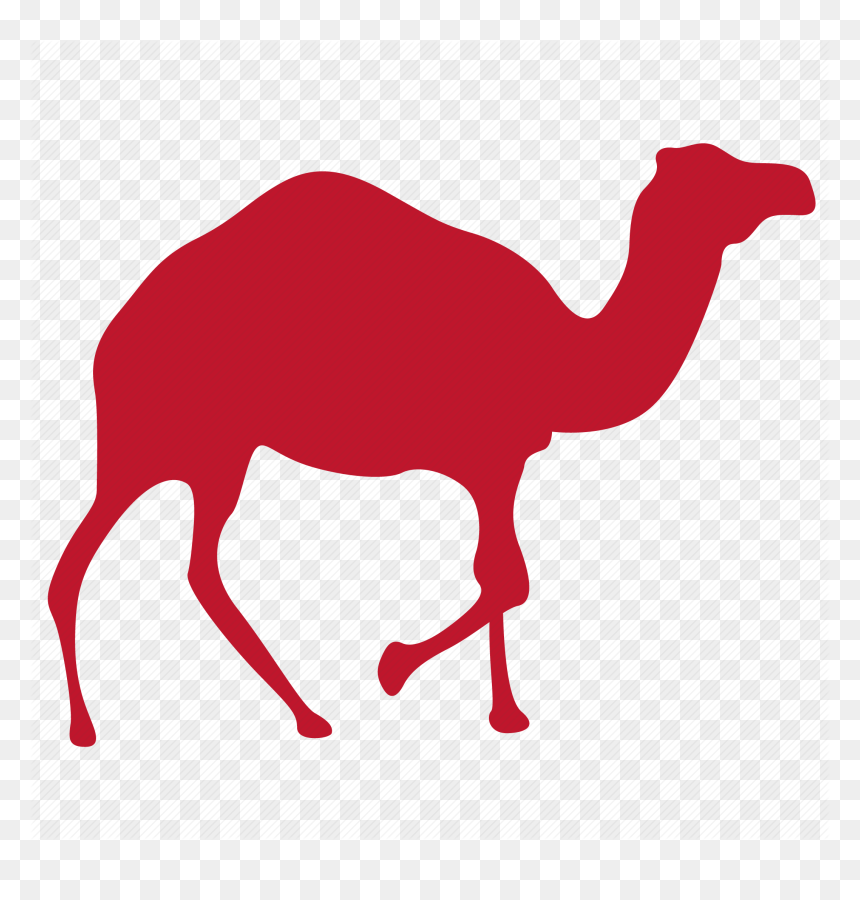 Camels Clipart Load - Arabian Camel, HD Png Download - camel clipart png