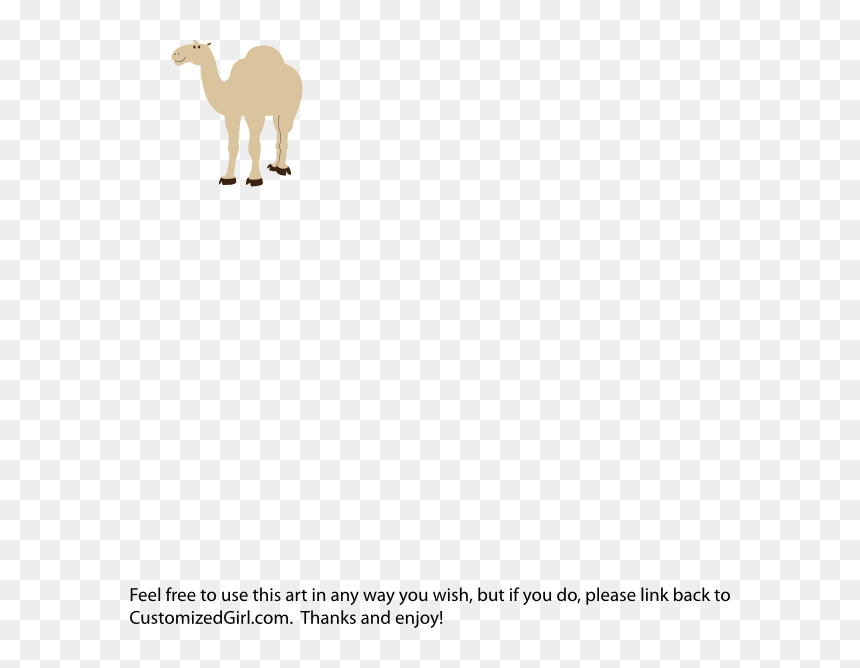 Animales Tiernos En Caricatura, HD Png Download - camel clipart png