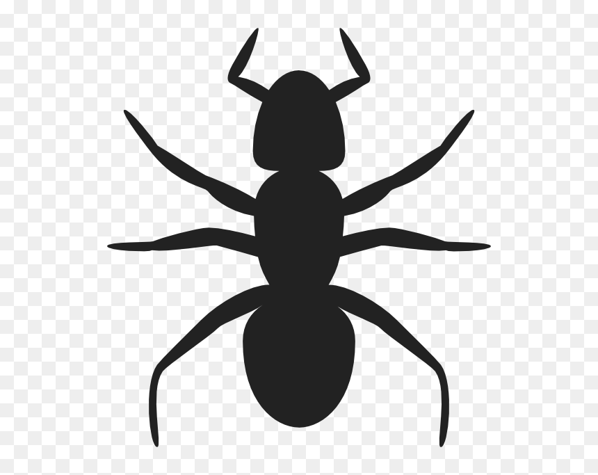 Ant Svg Clip Arts - Ant Clip Art, HD Png Download - ant clipart png