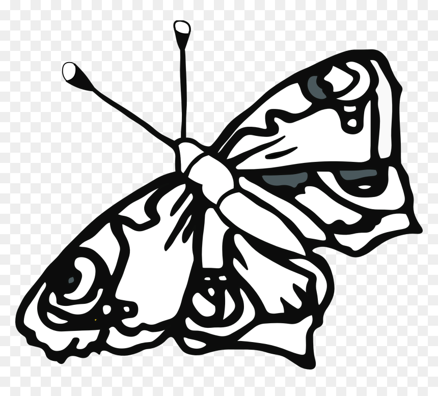 Butterfly Drawings In Black And White - Line Drawings, HD Png Download - butterfly clipart png black and white
