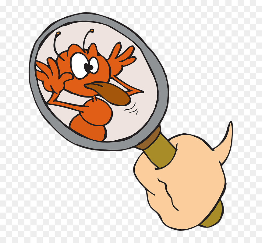 Teasing Png, Transparent Png - ant clipart png