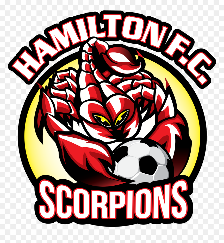 Hamilton Scorpions, HD Png Download - scorpions logo png